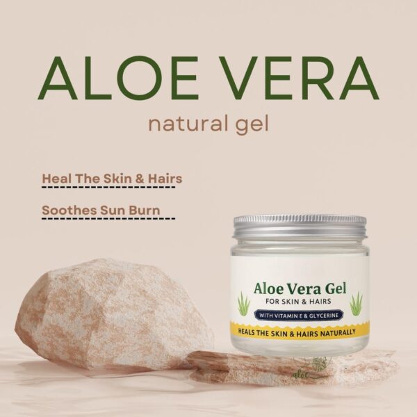 Aloe Vera - Image 7