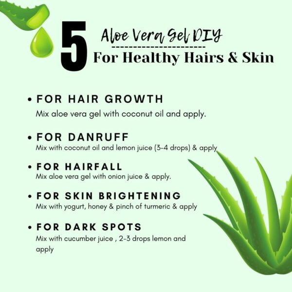 Aloe Vera - Image 8