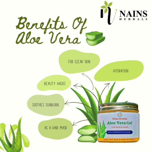 Aloe Vera - Image 6