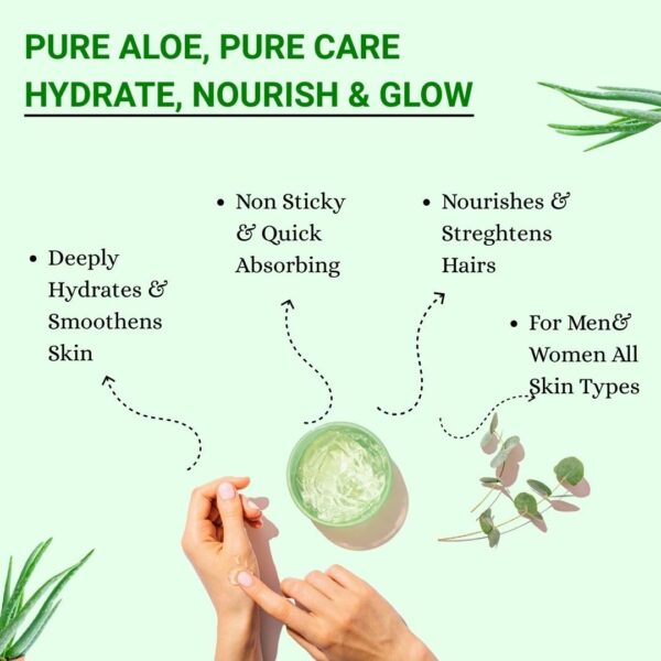 Aloe Vera - Image 9