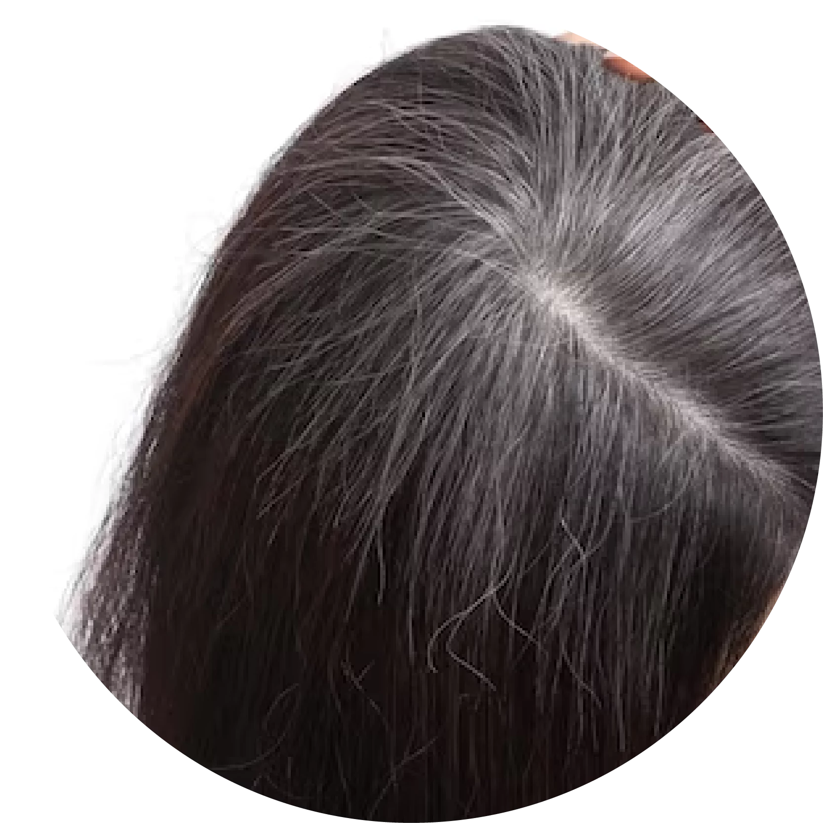 grey-hair-01-1667x-673f63cec536d