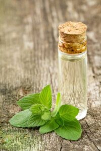 Best Ayurvedic Hair Oil for Hair Growth & Hair Fall
