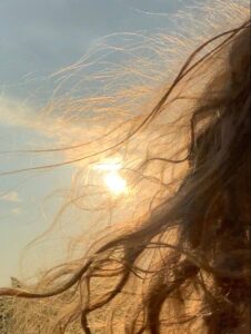Summer Hair Care Tips