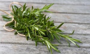 What causes dandruff