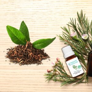 What causes dandruff