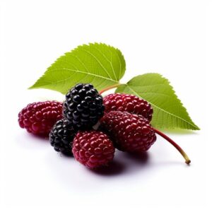 Benefits of using mulberry extract in summer skincare