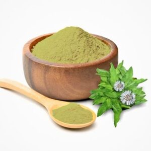 Ayurvedic Remedies for Hair Loss