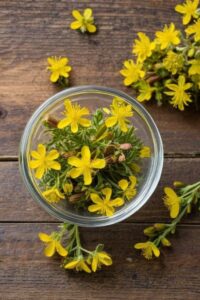 Herbal Pain Relief Oil