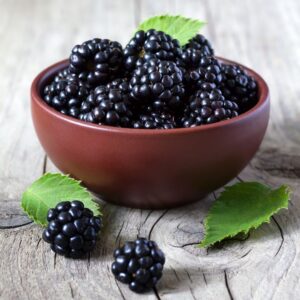 Benefits of using mulberry extract in summer skincare