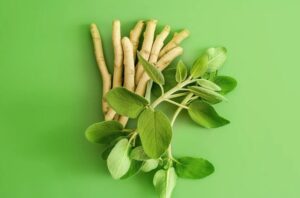 Ayurvedic Remedies for Hair Loss