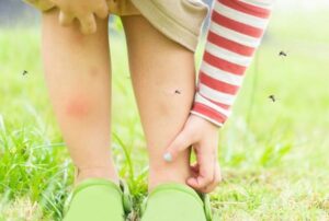 Mosquito Repellent Tips