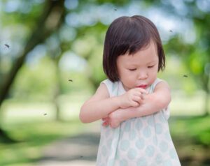 Mosquito Repellent Tips