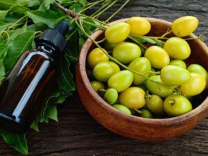 Mosquito Repellent Tips
