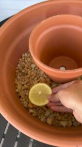 Mosquito Repellent Tips