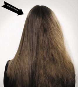 Monsoon Hair Breakage